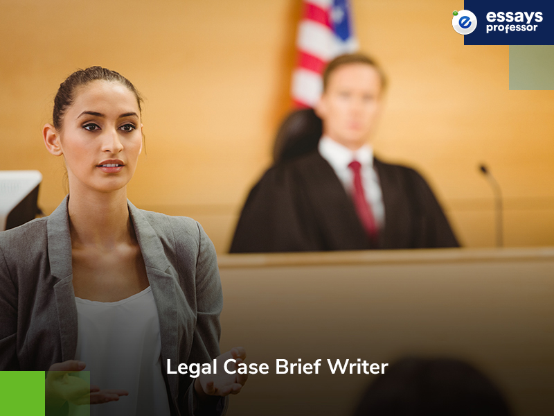 Law Case Brief Writer